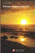 J'ai une surprise pour toi (roman)