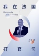 Mes procès en France 我在法国打官司 (livre en chinois)