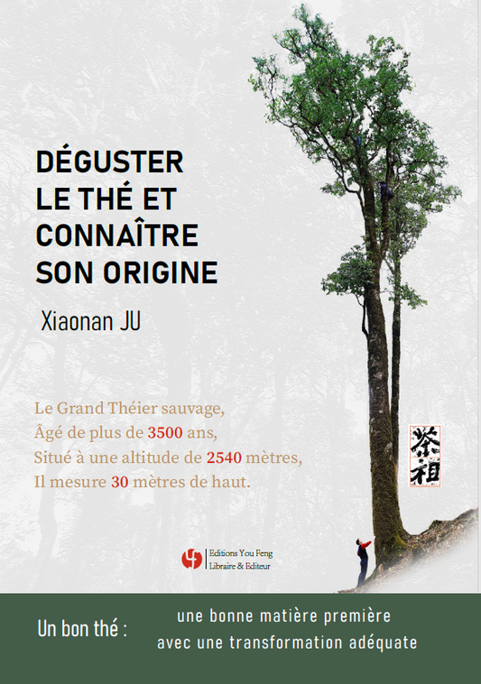 Déguster le thé et connaître son origine