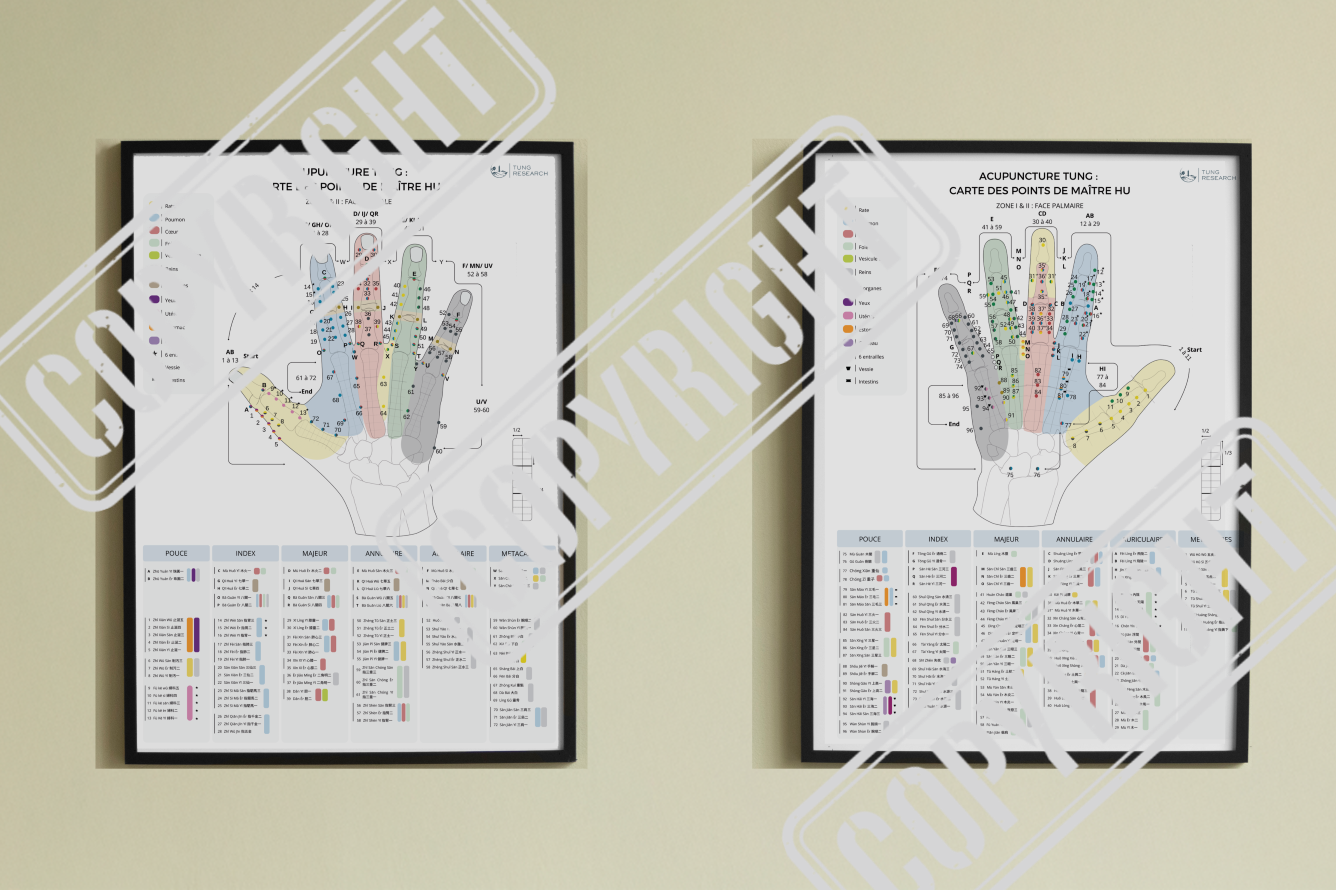 Acupuncture TUNG : carte des points de maître HU (Face dorsale et face palmaire)