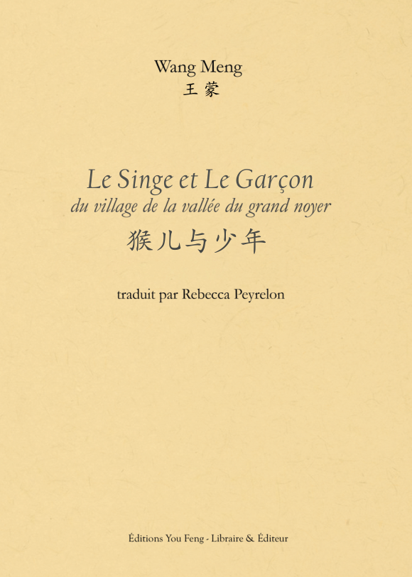 Le Singe et Le Garçon