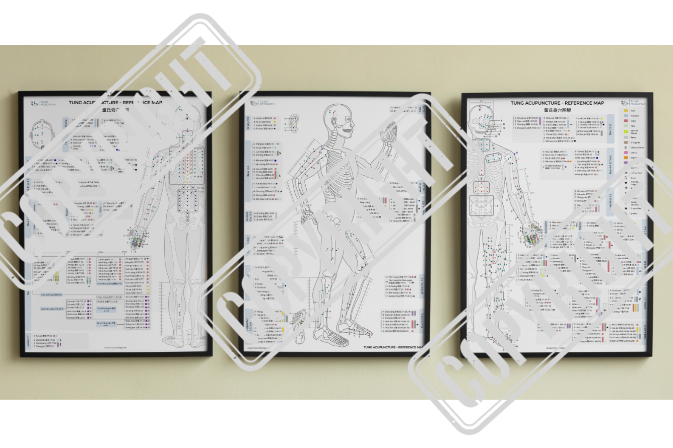 TUNG acupuncture reference map 董氏奇穴图解 carte des points d'acupuncture