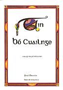 Tain Bo Cuailnge - Voyage de Pénétration