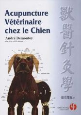 Acupuncture vétérinaire chez le chien