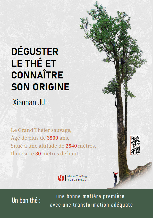 Déguster le thé et connaître son origine