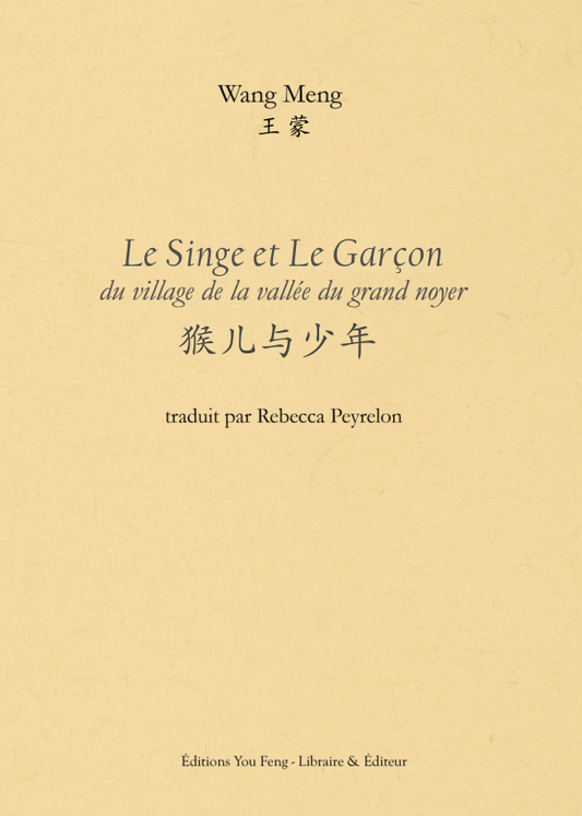 Le Singe et Le Garçon