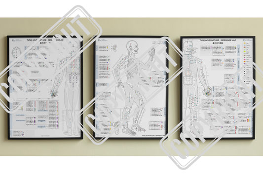 TUNG acupuncture reference map 董氏奇穴图解 carte des points d'acupuncture