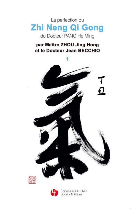 La Perfection du ZNQG du Docteur Pang He Ming 1&2&3 (Edition illustrée)