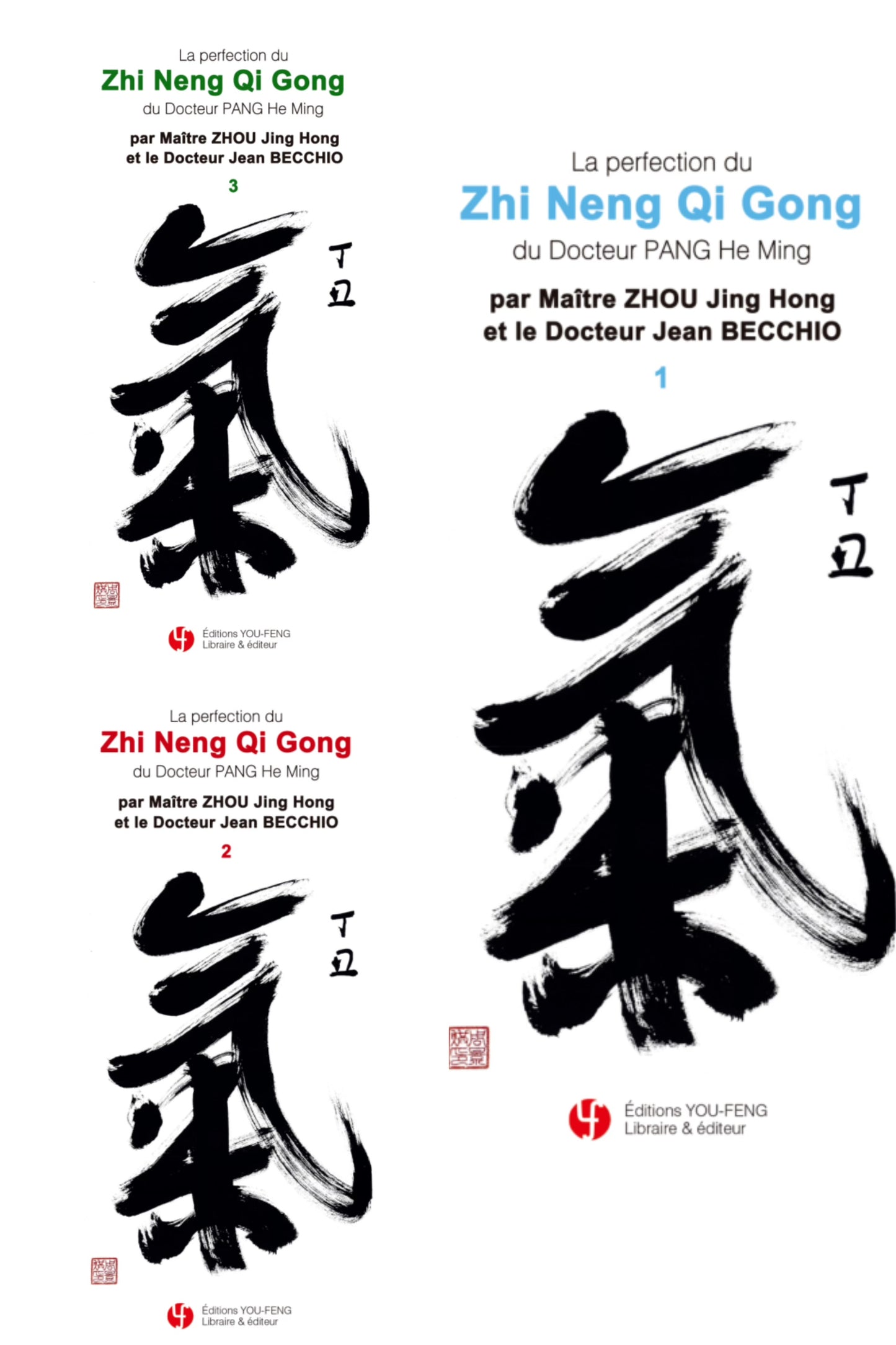 La Perfection du ZNQG du Docteur Pang He Ming 1&2&3 (Edition illustrée)